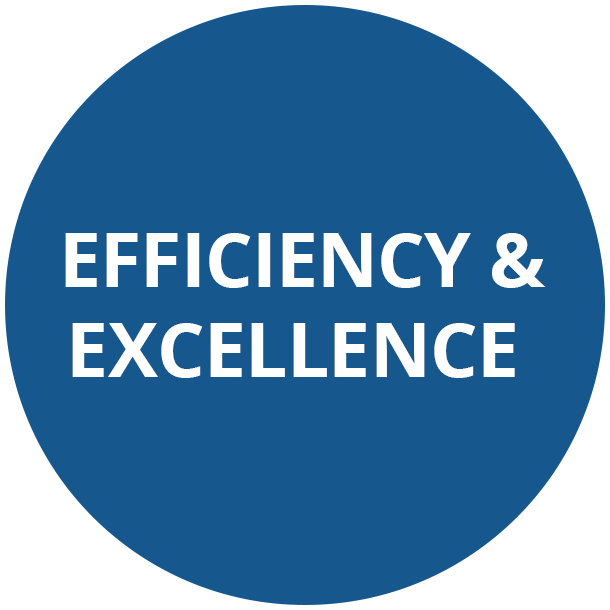 Efficiency & Excellence - Values