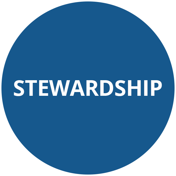 Stewardship - Values